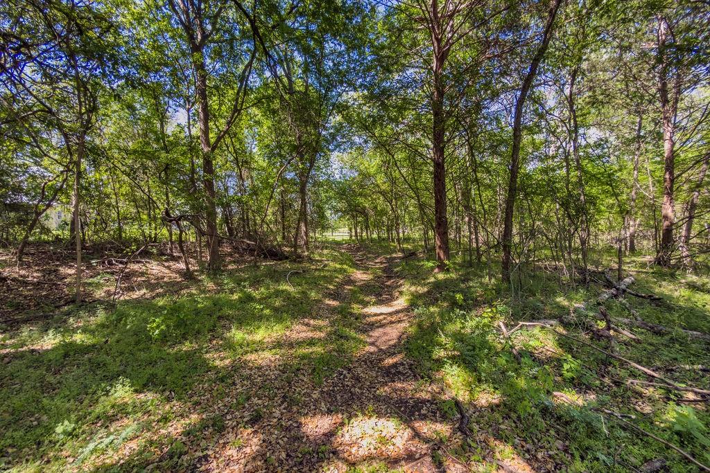 120 County Road 3646 Property Photo 11