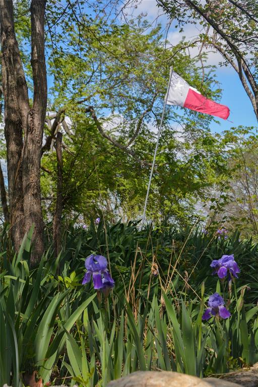 545 Vz County Road 2923 Property Photo 20