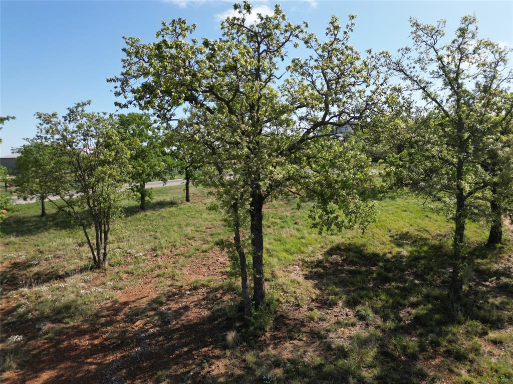 101 Overlook Drive Property Photo 4