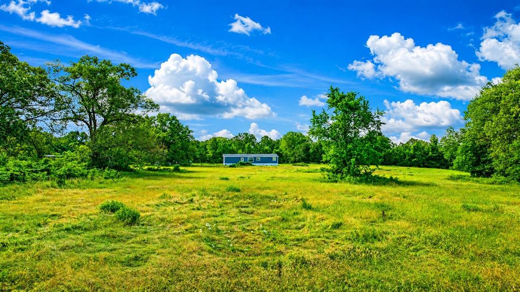 5889 Farm Road 910 Property Photo 34