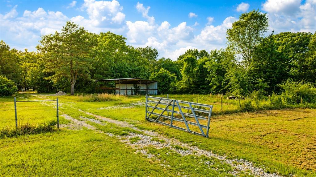 5889 Farm Road 910 Property Photo 39