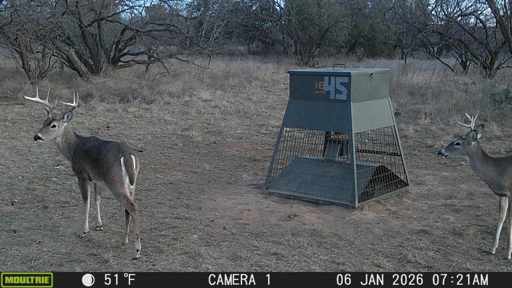 Tbd Tbd County Rd 291 Property Photo 13