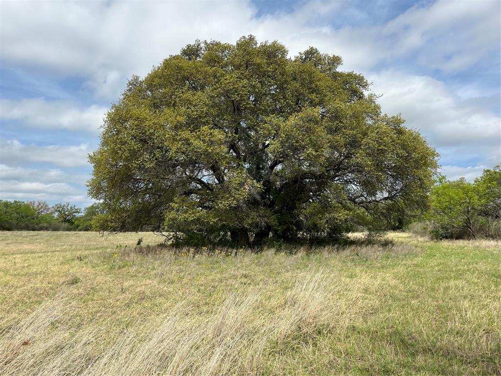 2190 W Fm 574 Road Property Photo 22