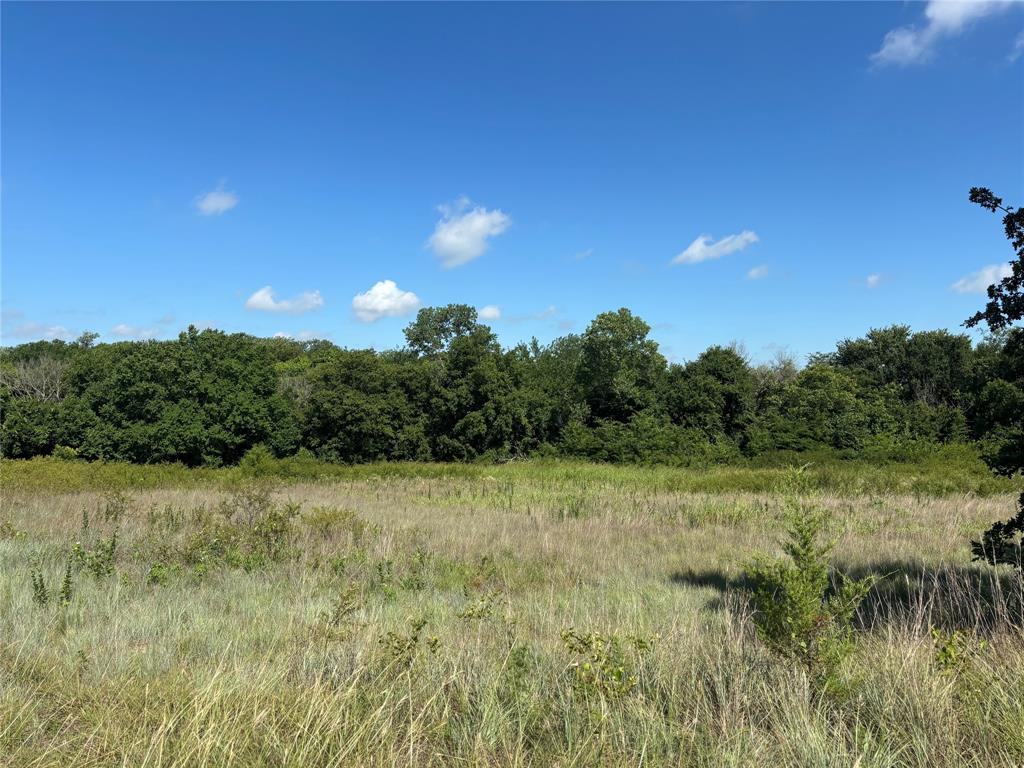 Tbd Dry Valley Road Property Photo 5