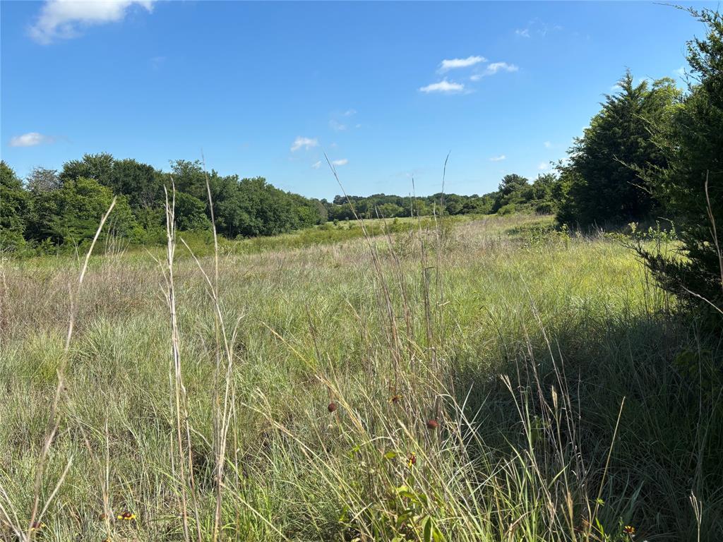 Tbd Dry Valley Road Property Photo 6
