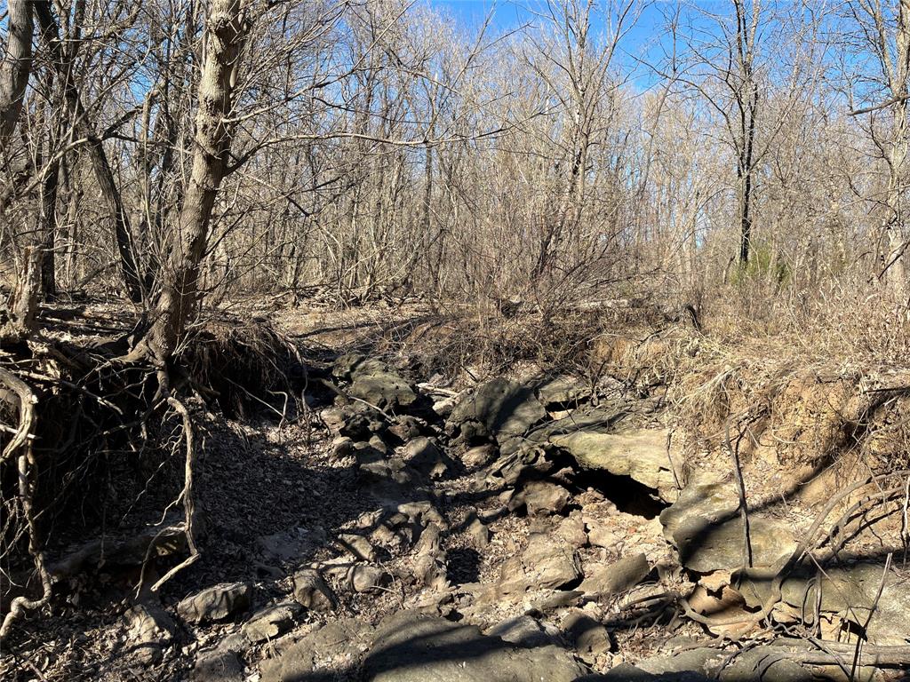 Tbd Dry Valley Road Property Photo 19