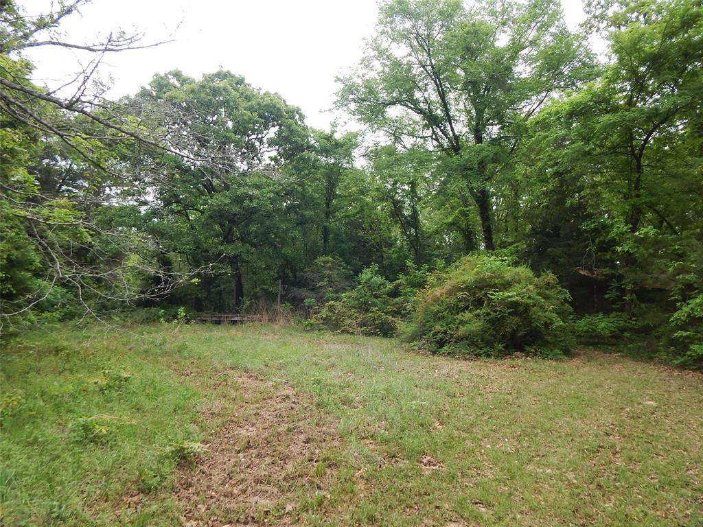 146 Cr 1215 Property Photo 3