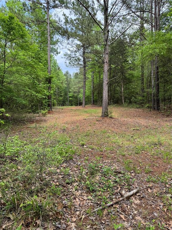 Tbd County Road 120c Property Photo 8