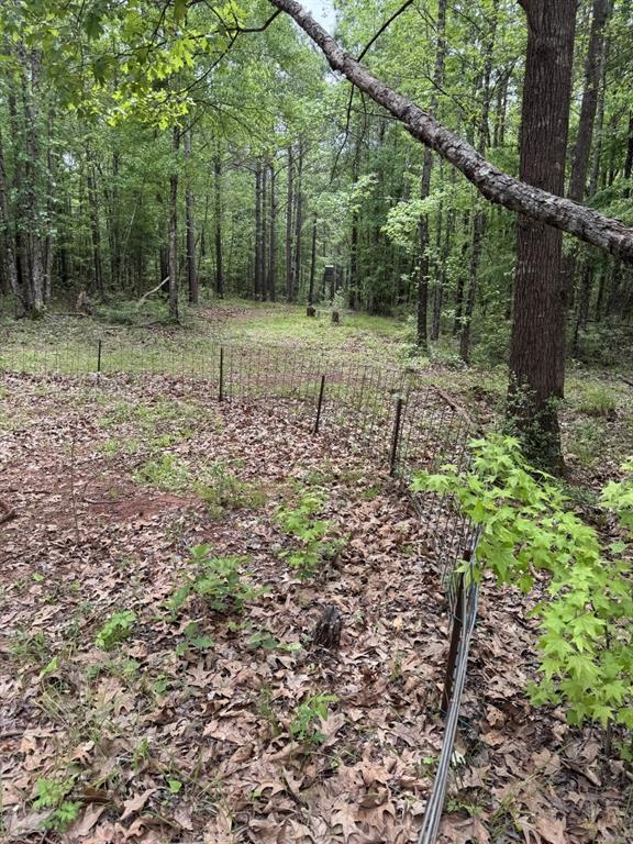 Tbd County Road 120c Property Photo 9