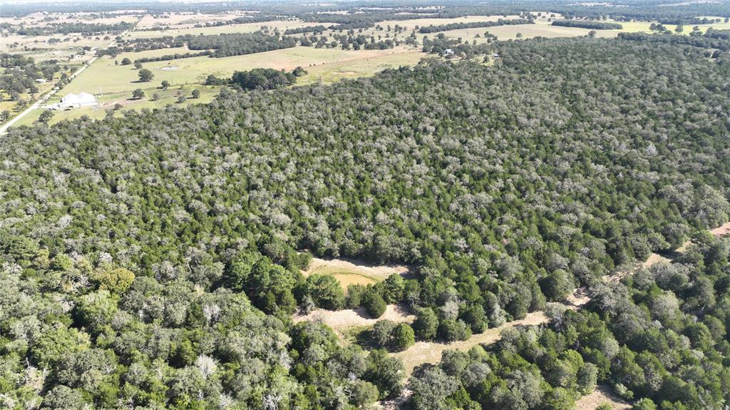 000 Easley Property Photo 3