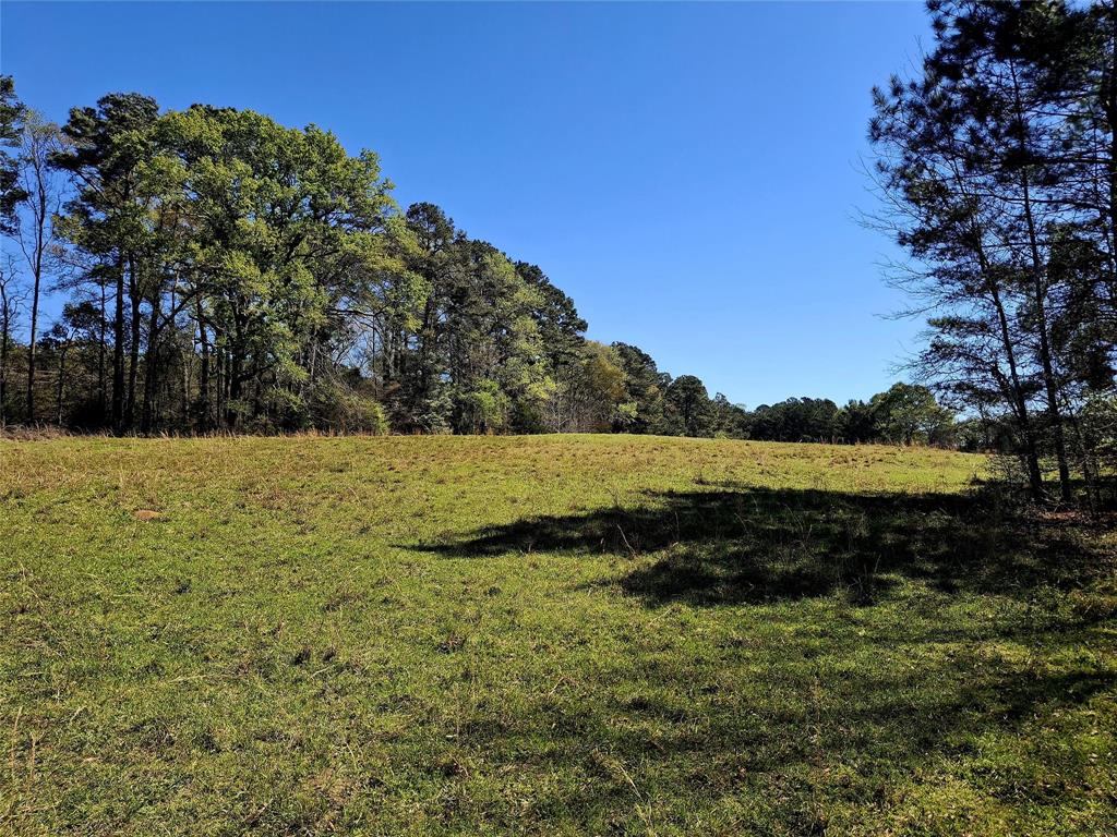 435 Fm 2064 Property Photo 1
