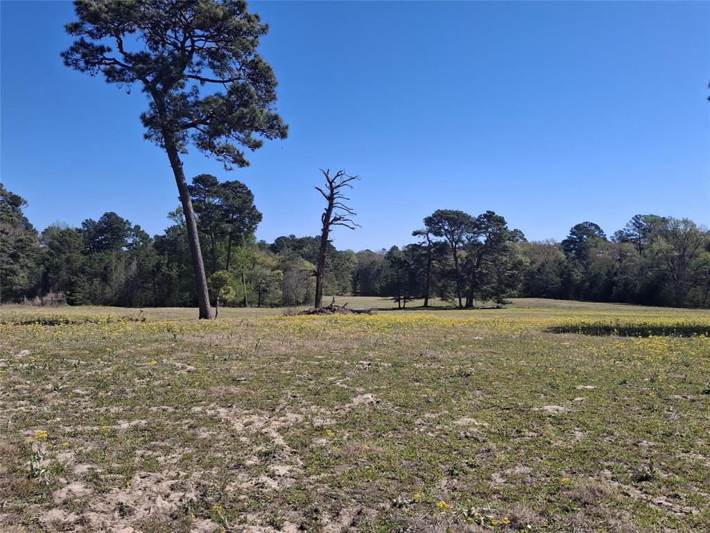 435 Fm 2064 Property Photo 4