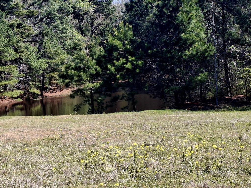 435 Fm 2064 Property Photo 7