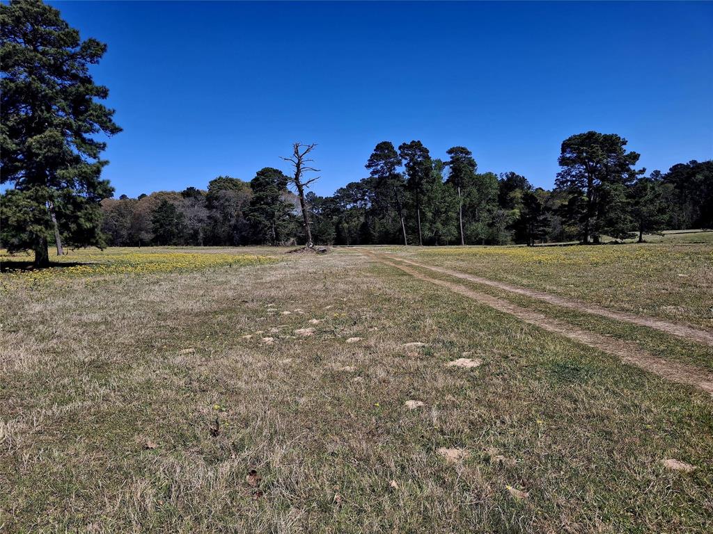 435 Fm 2064 Property Photo 8