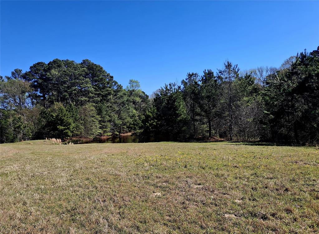 435 Fm 2064 Property Photo 9