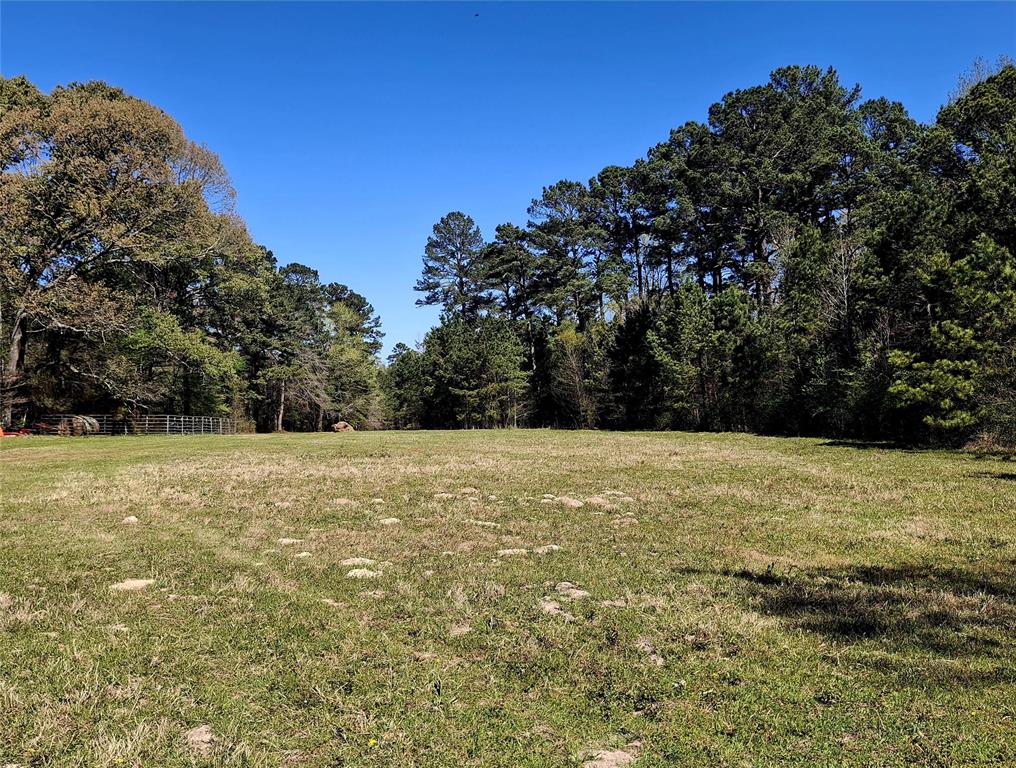 435 Fm 2064 Property Photo 11