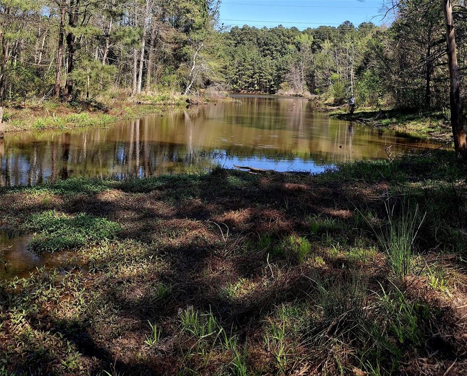 435 Fm 2064 Property Photo 13