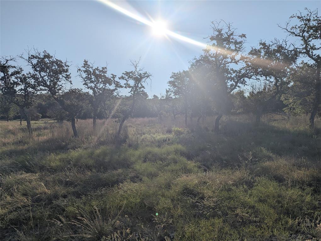 Tract 26 Cr 633 Property Photo 6