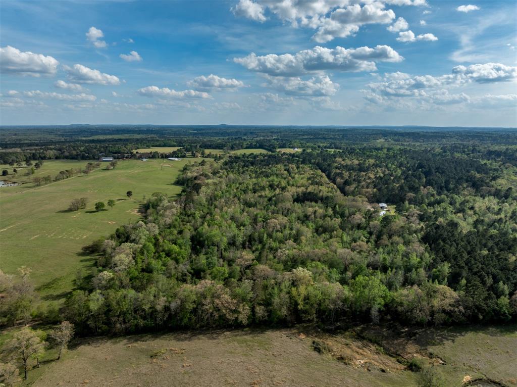 0 White Tail Road Property Photo 2