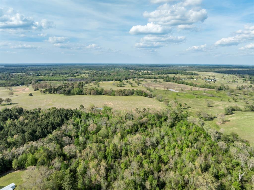 0 White Tail Road Property Photo 4
