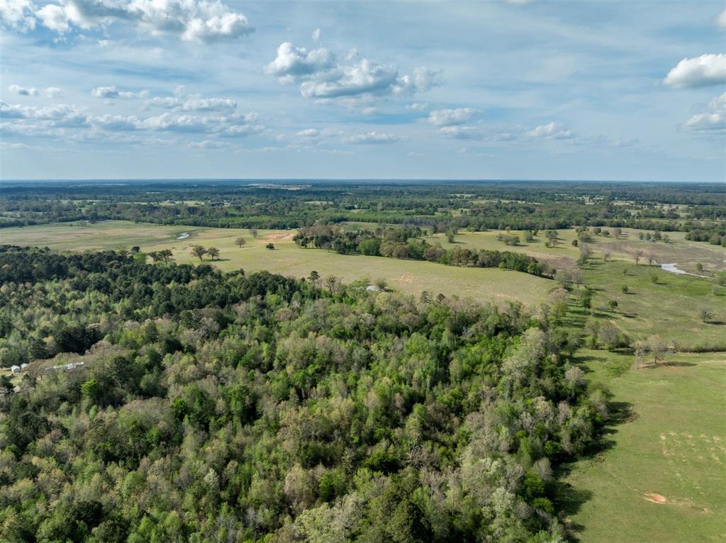 0 White Tail Road Property Photo 5