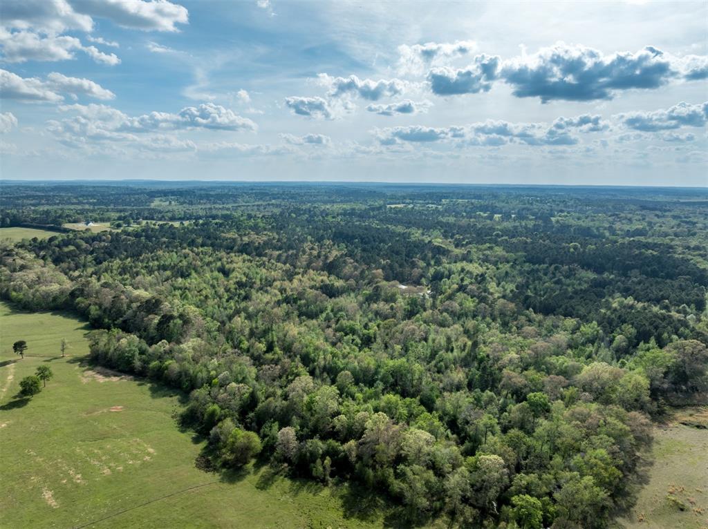 0 White Tail Road Property Photo 6