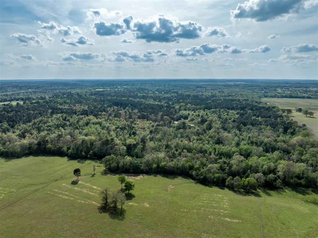 0 White Tail Road Property Photo 7