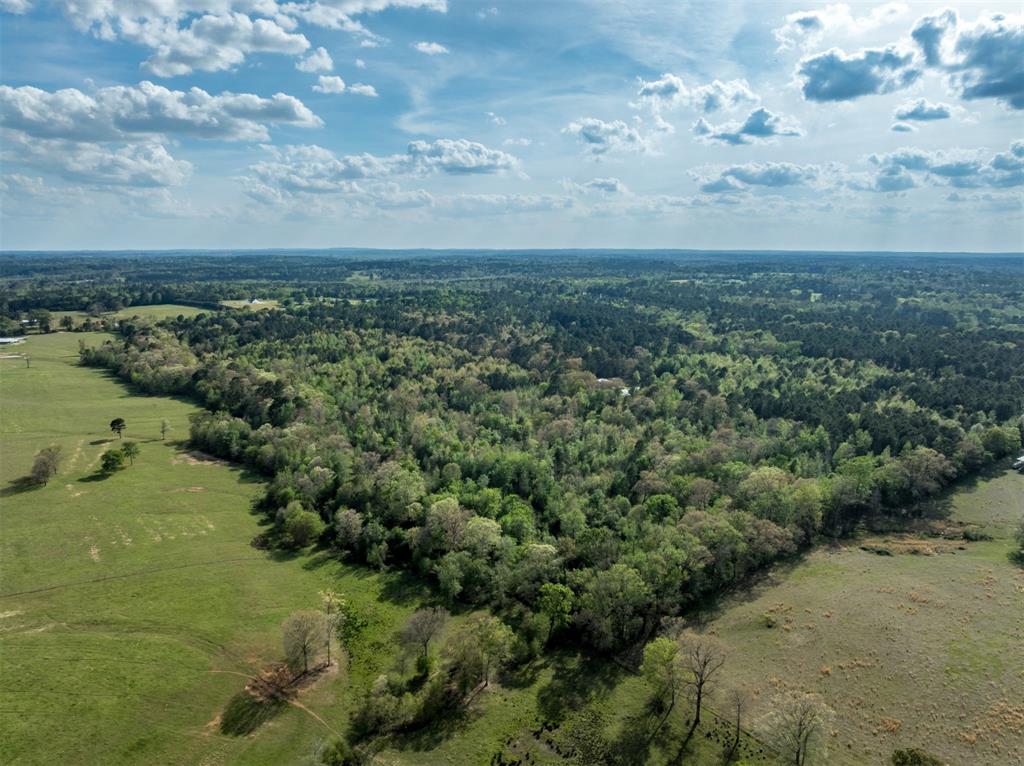 0 White Tail Road Property Photo 8