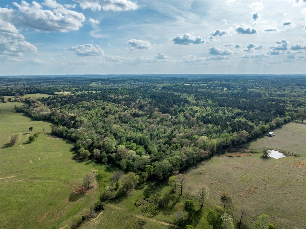 0 White Tail Road Property Photo 12
