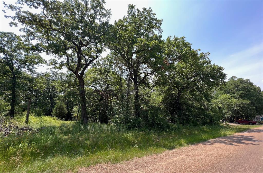 Tbd Natchez Trail Property Photo 1