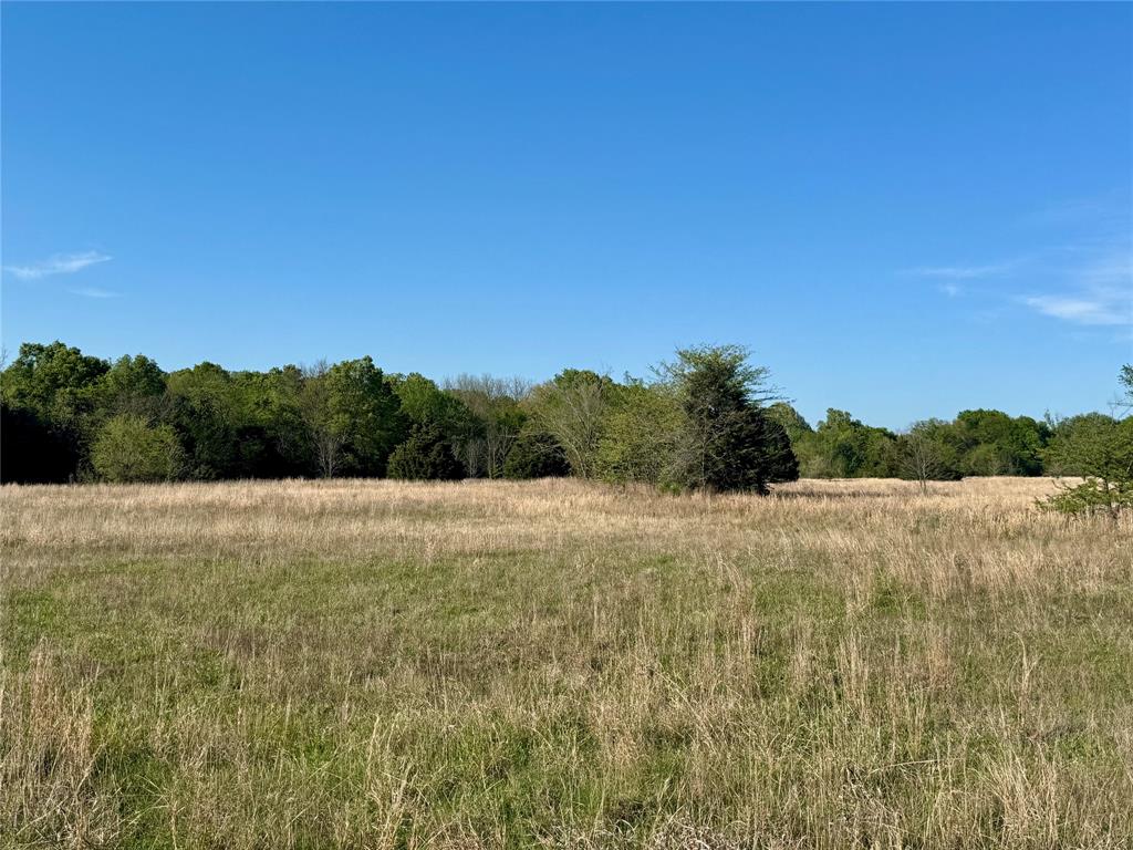 2377 Fm 36 Property Photo 6