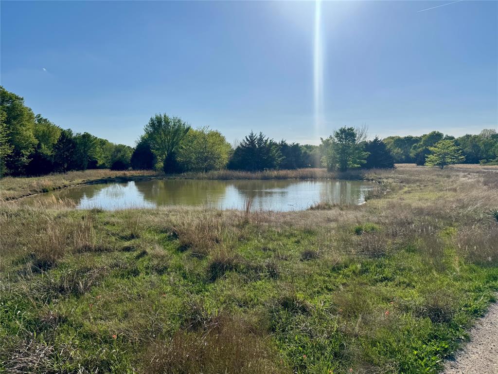 2377 Fm 36 Property Photo 7