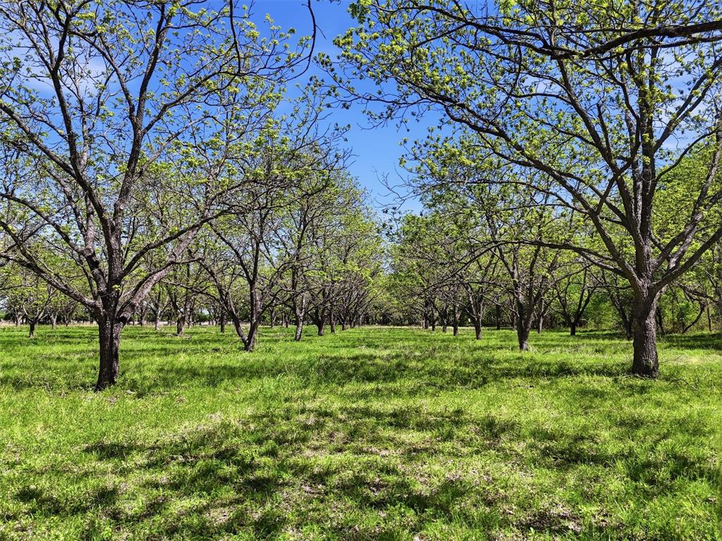 12011 Paradise Boulevard Property Photo 7