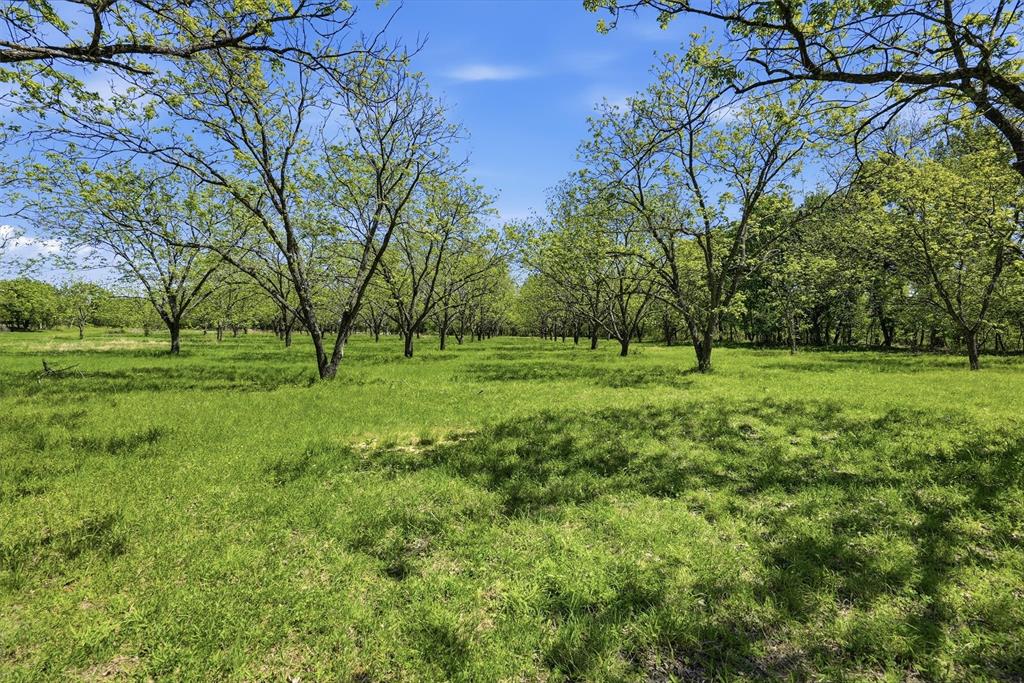 12011 Paradise Boulevard Property Photo 8