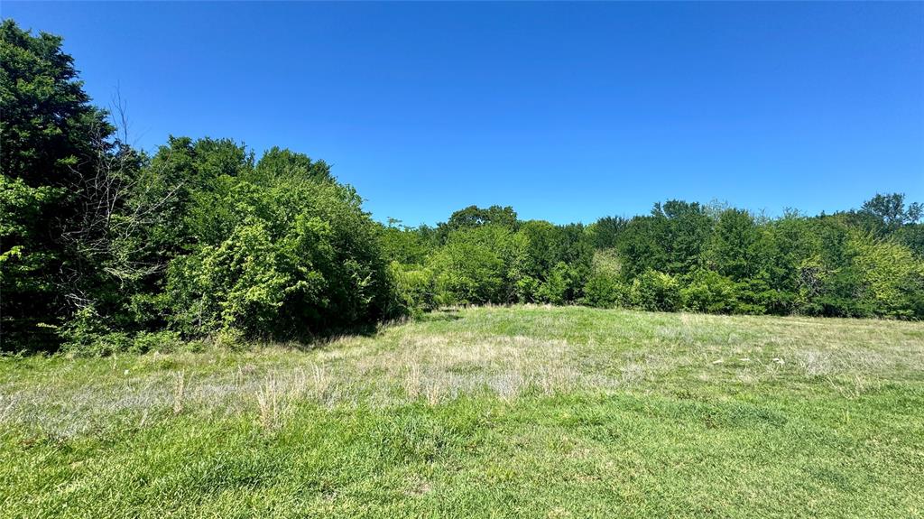 2985 Fm 751 Property Photo 5