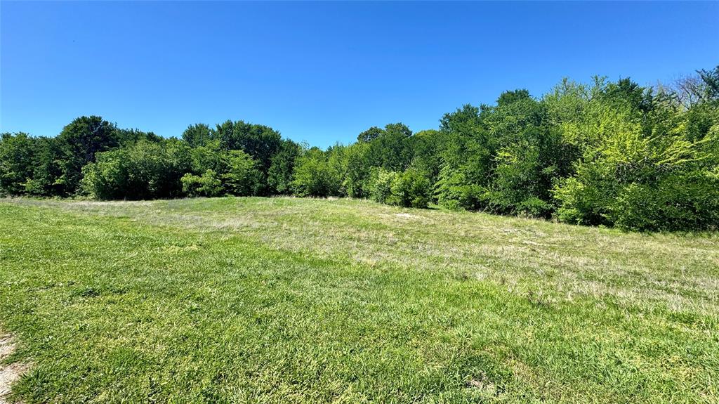 2985 Fm 751 Property Photo 6
