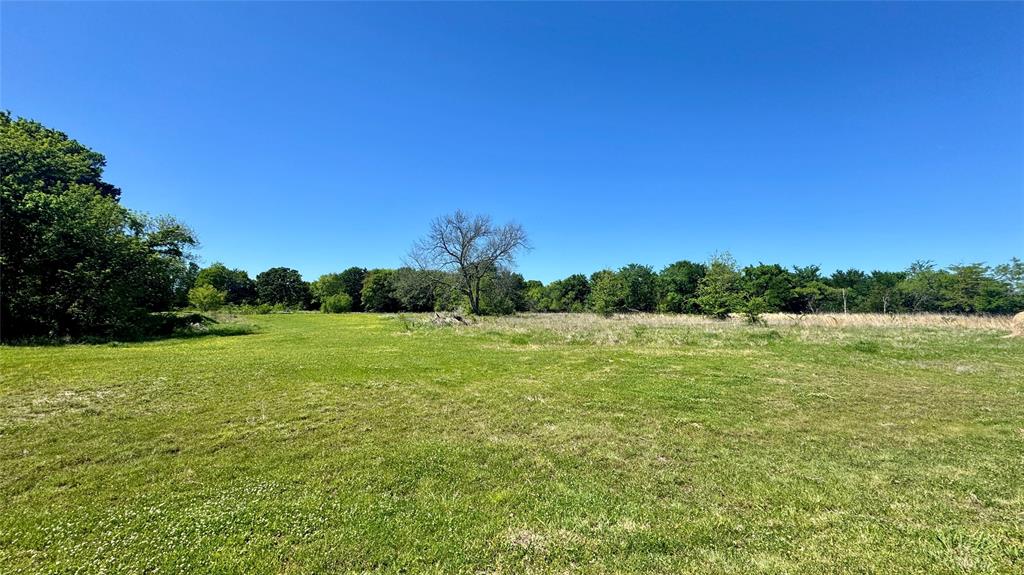 2985 Fm 751 Property Photo 7
