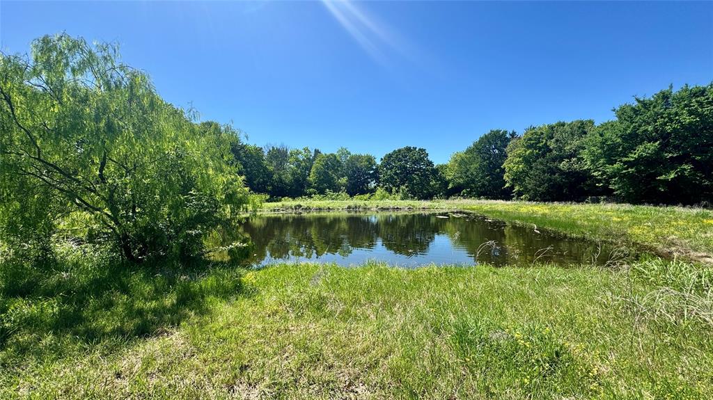 2985 Fm 751 Property Photo 8