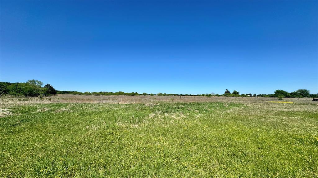 2985 Fm 751 Property Photo 9