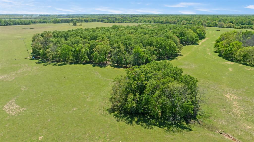 000 County Road 2356 Property Photo 15