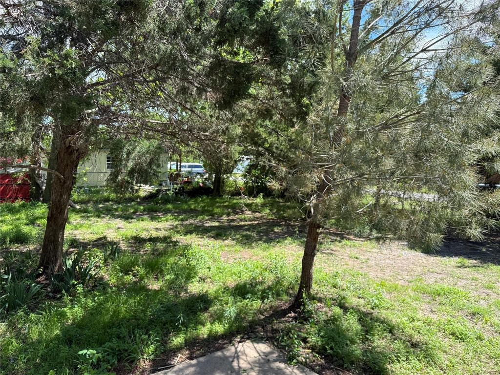 11243 County Road 897 Property Photo 11