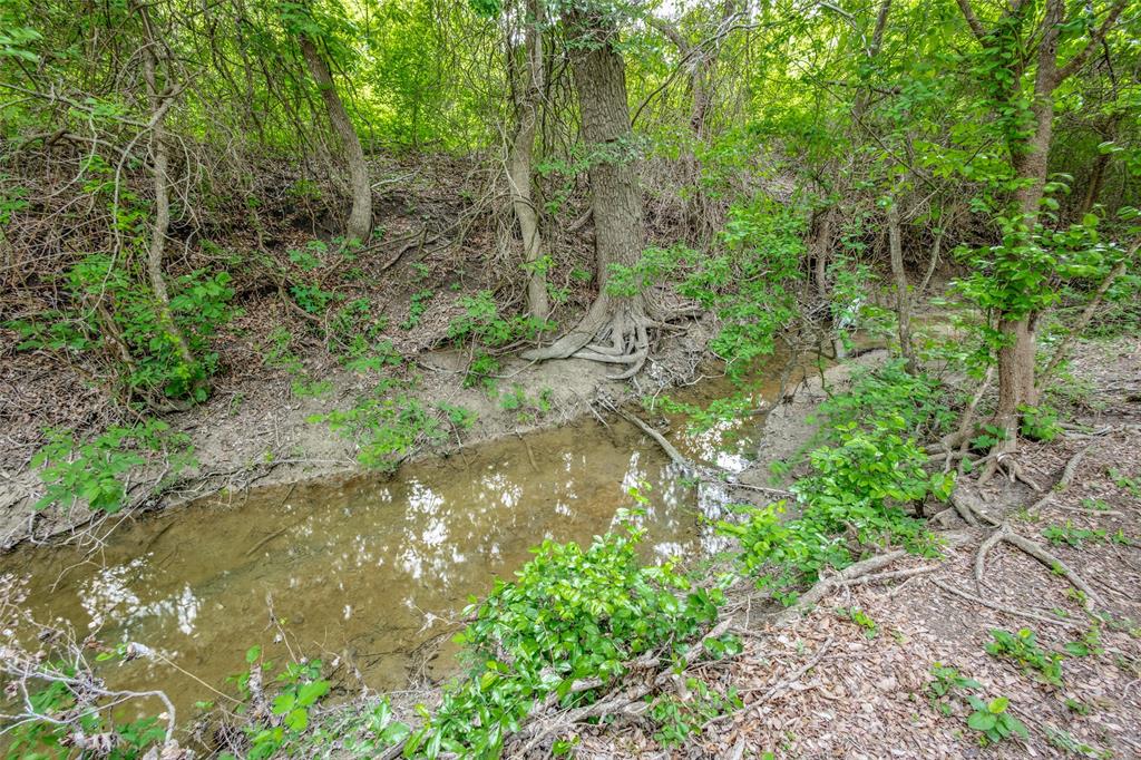 1508 Bearpath Way Property Photo 21