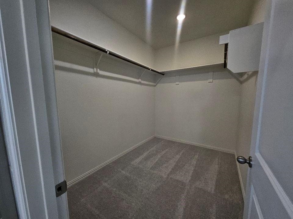 3005 Leopard Lane Property Photo 13