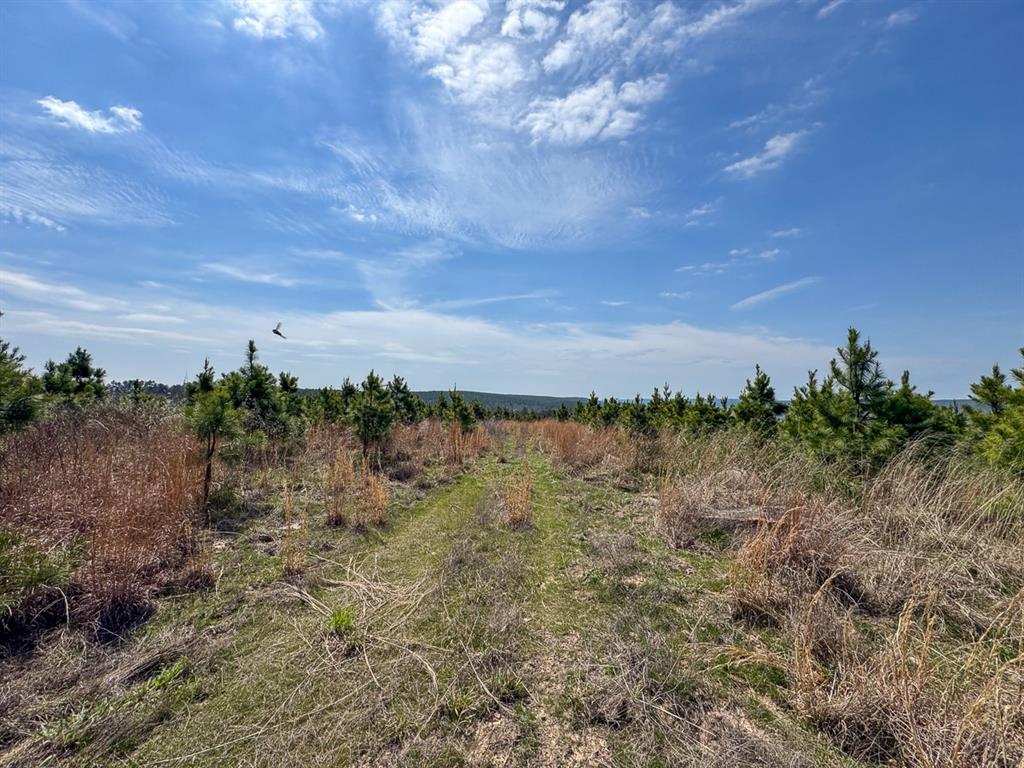 1 Off N4220 Property Photo 8