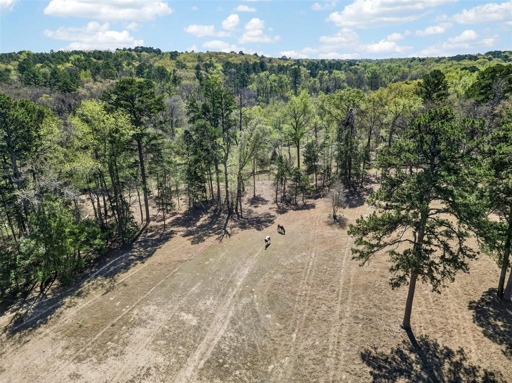 19054 Fm 1804 Property Photo 9