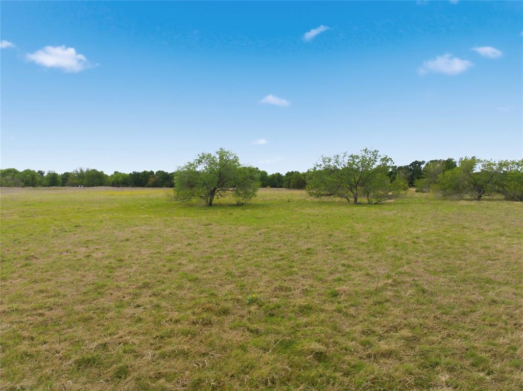 Tbd George Wachel Road Property Photo 7