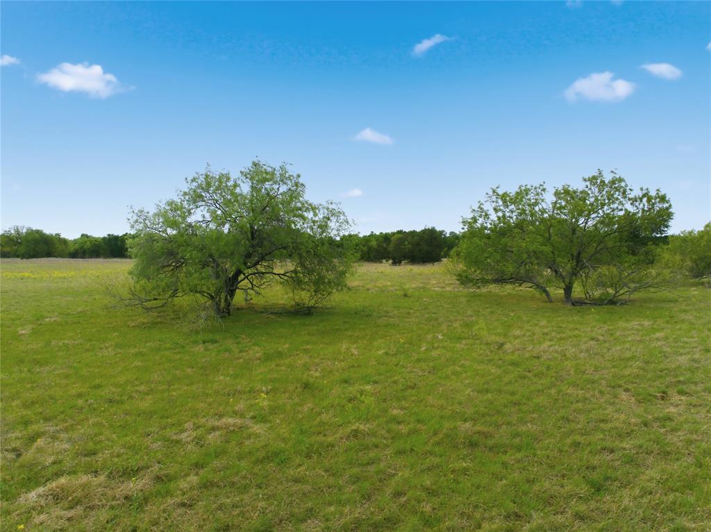 Tbd George Wachel Road Property Photo 8