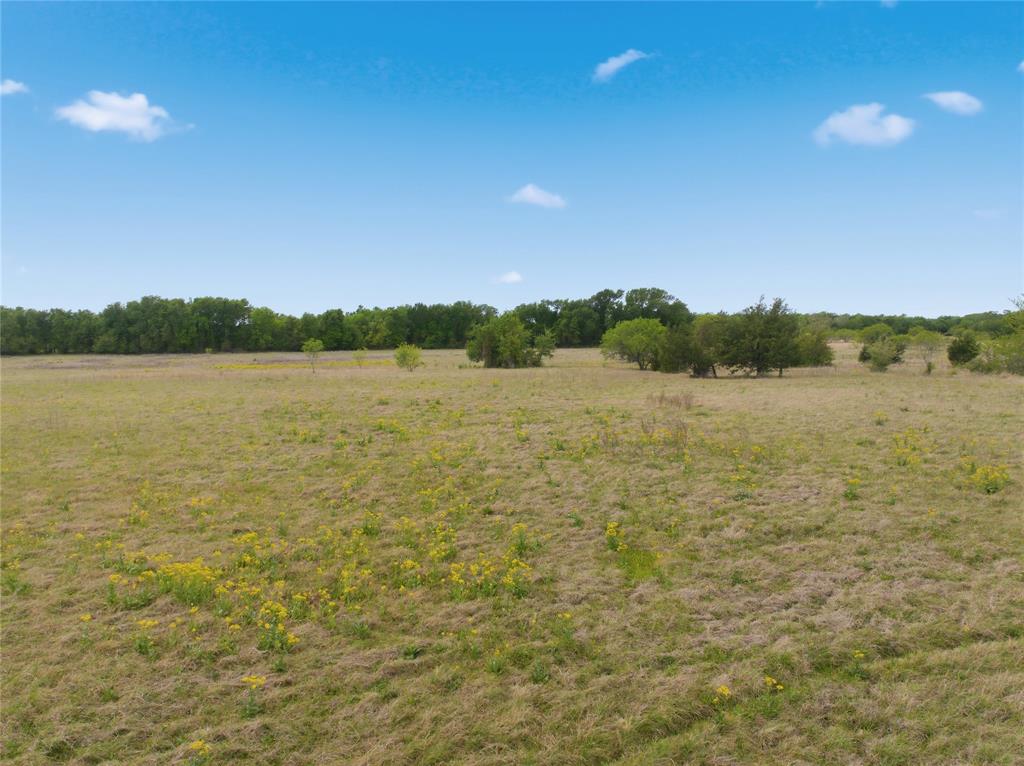 Tbd George Wachel Road Property Photo 9