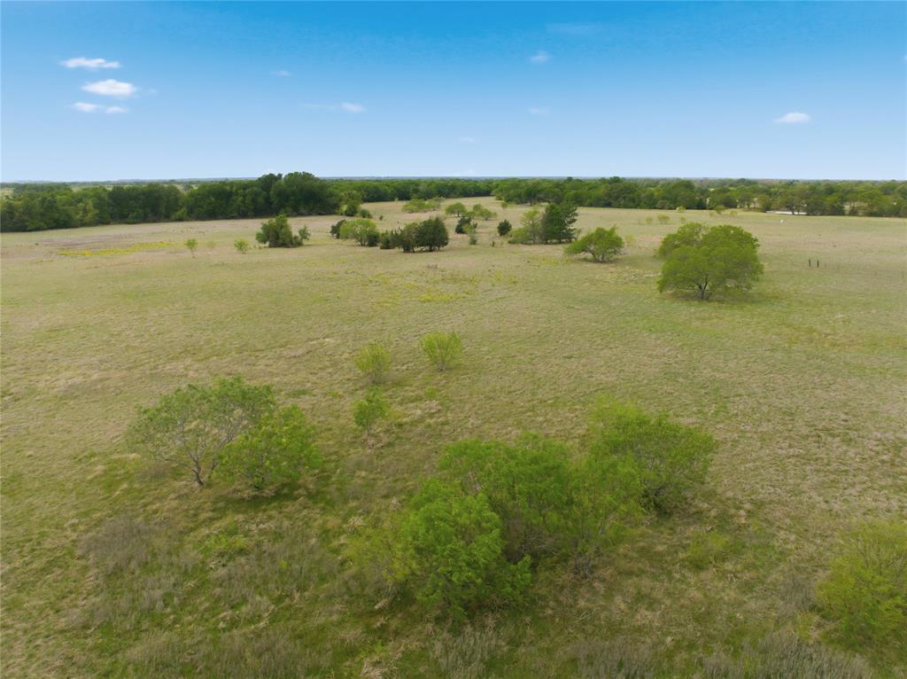 Tbd George Wachel Road Property Photo 10