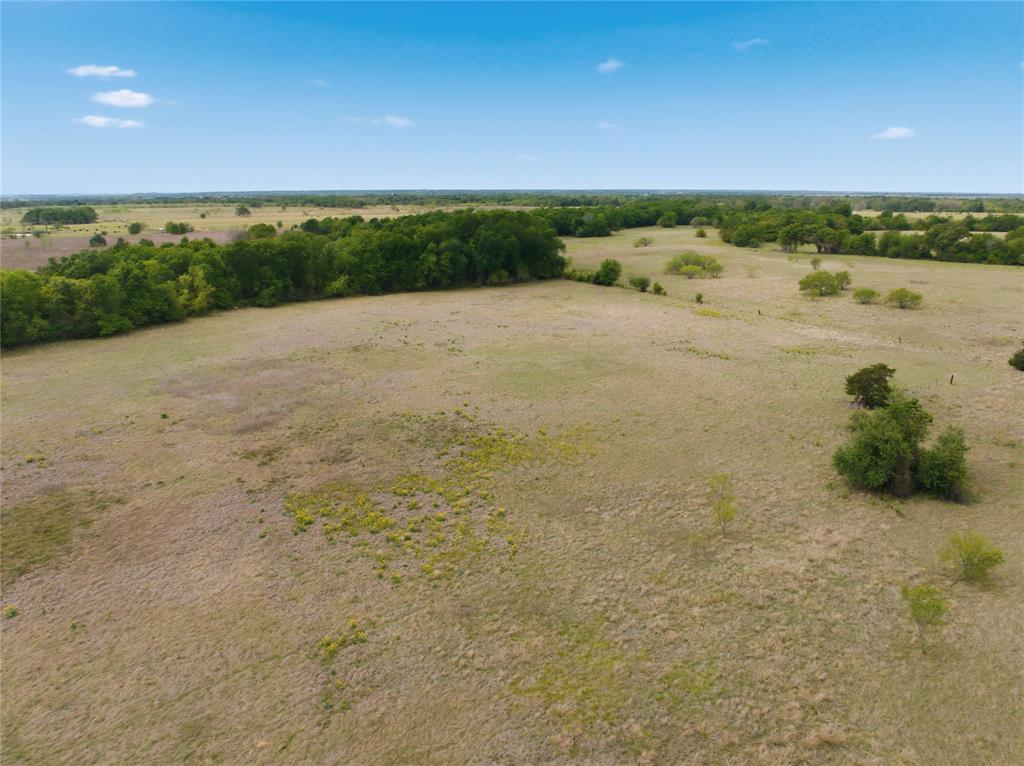Tbd George Wachel Road Property Photo 11